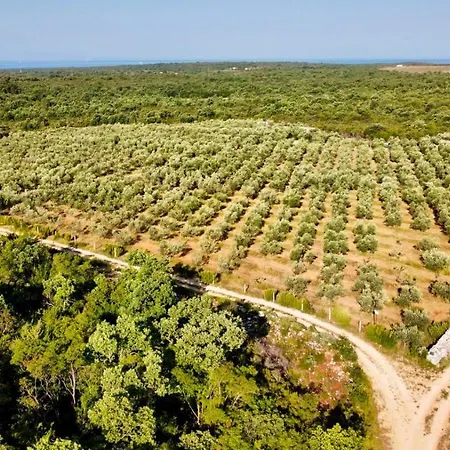 빌라 Magnificent Eco Valencano