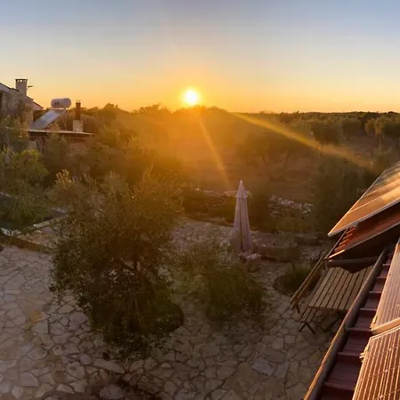 Magnificent Eco Valencano