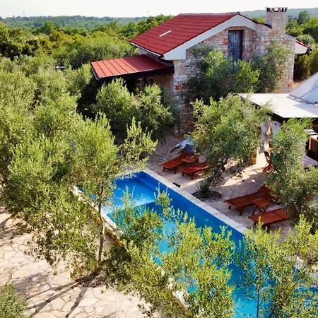 Magnificent Eco Valencano بالي