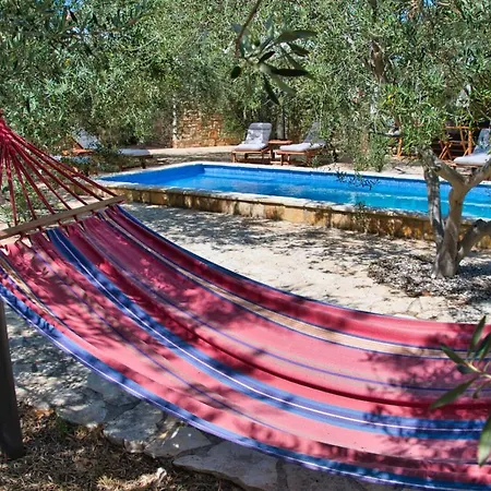 Magnificent Eco Valencano Bale